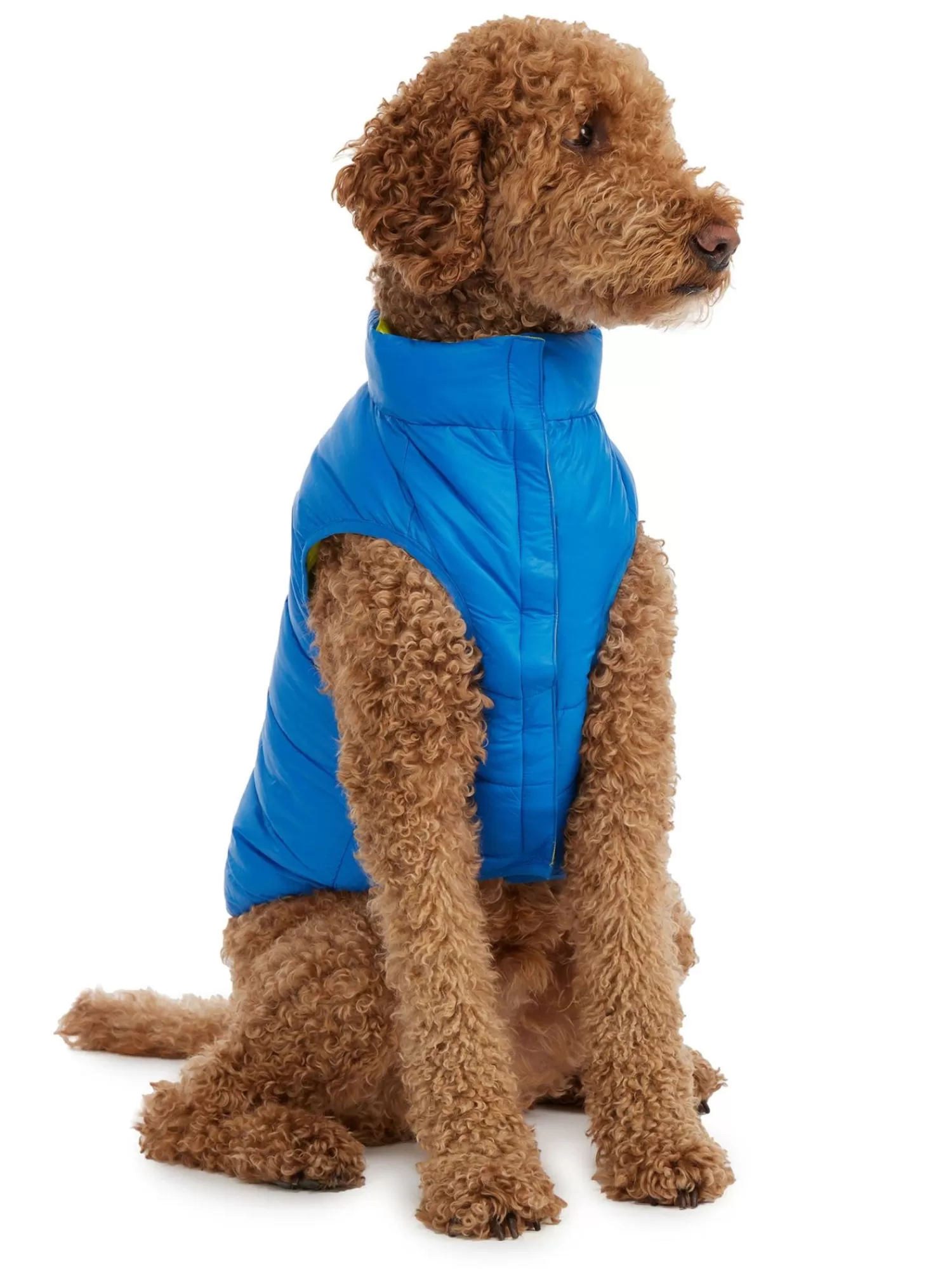 Pajar Manteaux Pour Chiens<Cora Manteau Reversible Et Compressible Pour Chiens Bleu