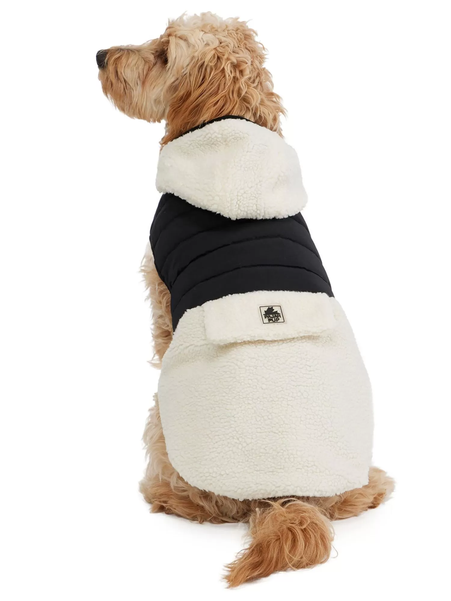 Pajar Manteaux Pour Chiens<Loki Manteau Avec Capuchon Pour Chiens Noir