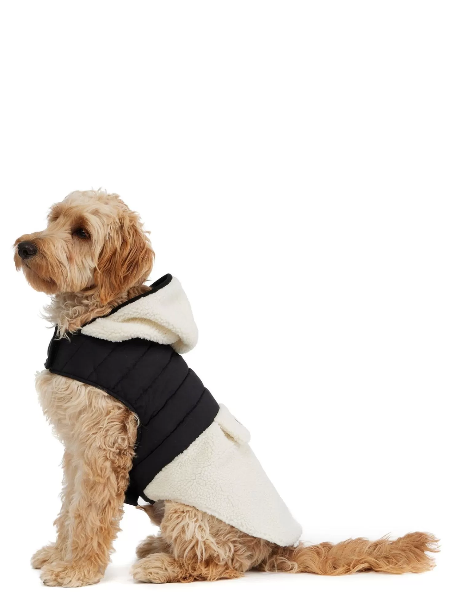 Pajar Manteaux Pour Chiens<Loki Manteau Avec Capuchon Pour Chiens Noir