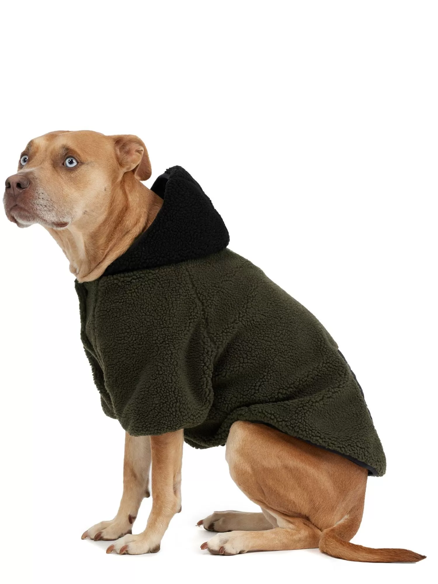 Pajar Manteaux Pour Chiens<Max Manteau Avec Capuchon Pour Chiens Militaire