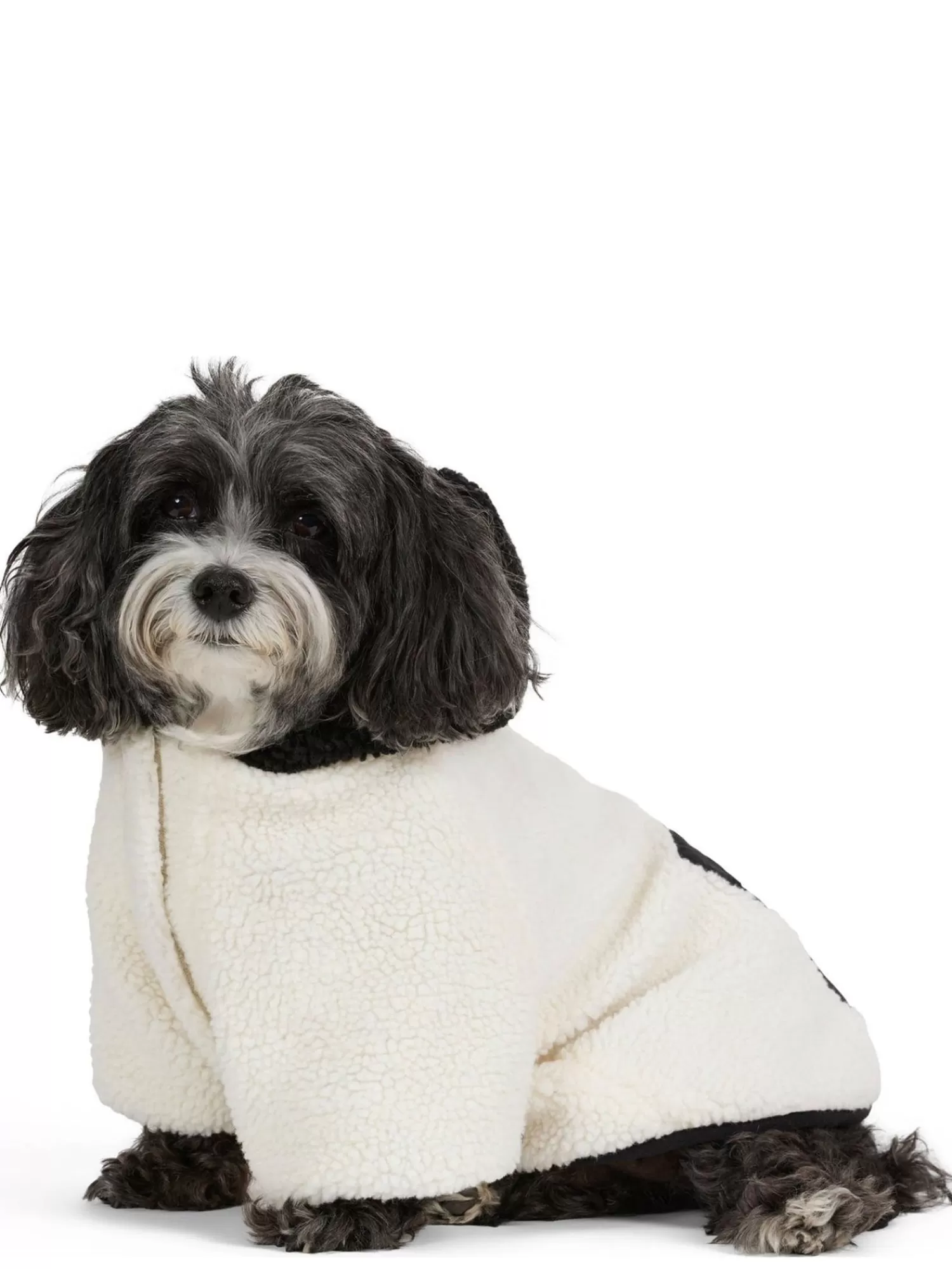 Pajar Manteaux Pour Chiens<Max Manteau Avec Capuchon Pour Chiens Noir