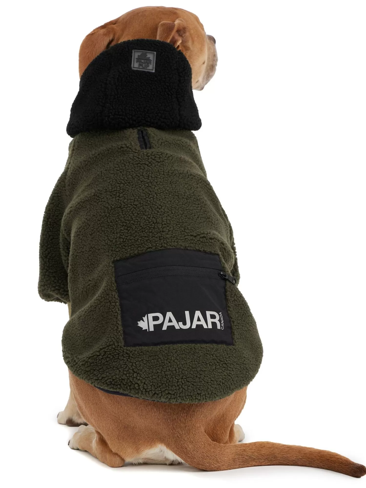 Pajar Manteaux Pour Chiens<Max Manteau Avec Capuchon Pour Chiens Militaire