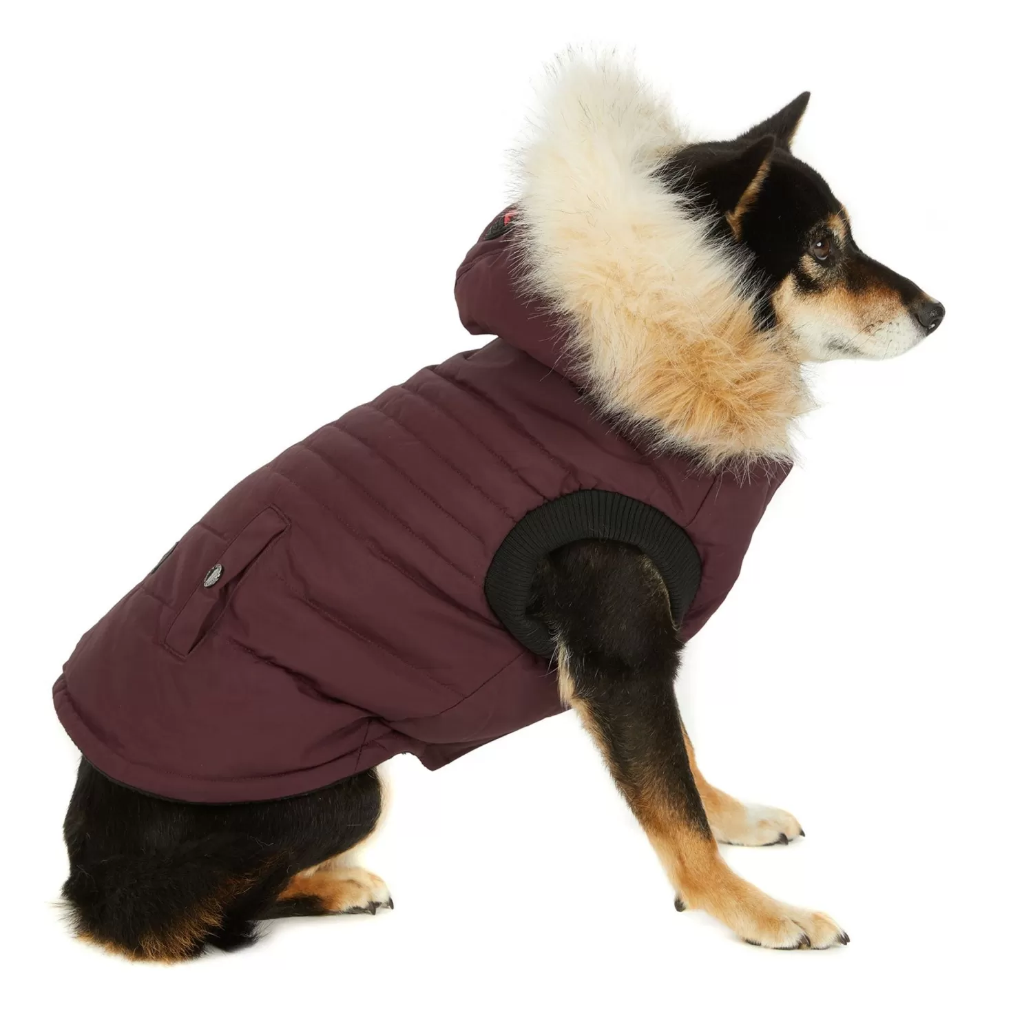 Pajar Manteaux Pour Chiens<Toby Manteau Pour Chiens Ox Blood