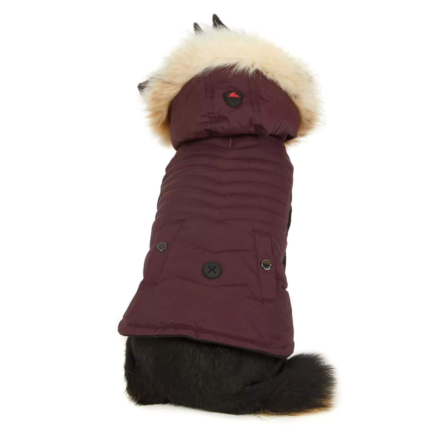 Pajar Manteaux Pour Chiens<Toby Manteau Pour Chiens Ox Blood