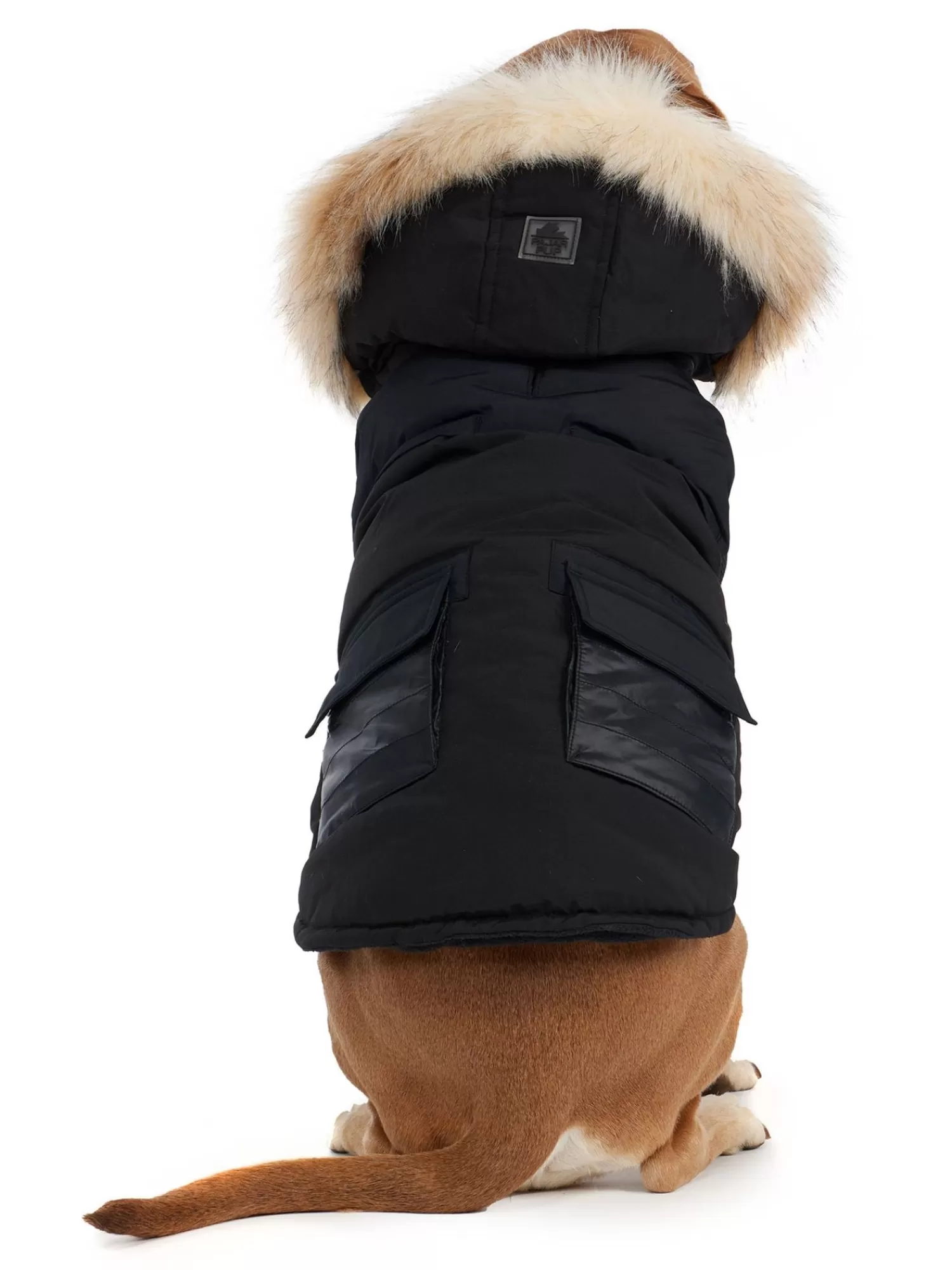 Pajar Manteaux Pour Chiens<Zeus Manteau Pour Chiens Avec Contour En Fausse Fourrure Noir