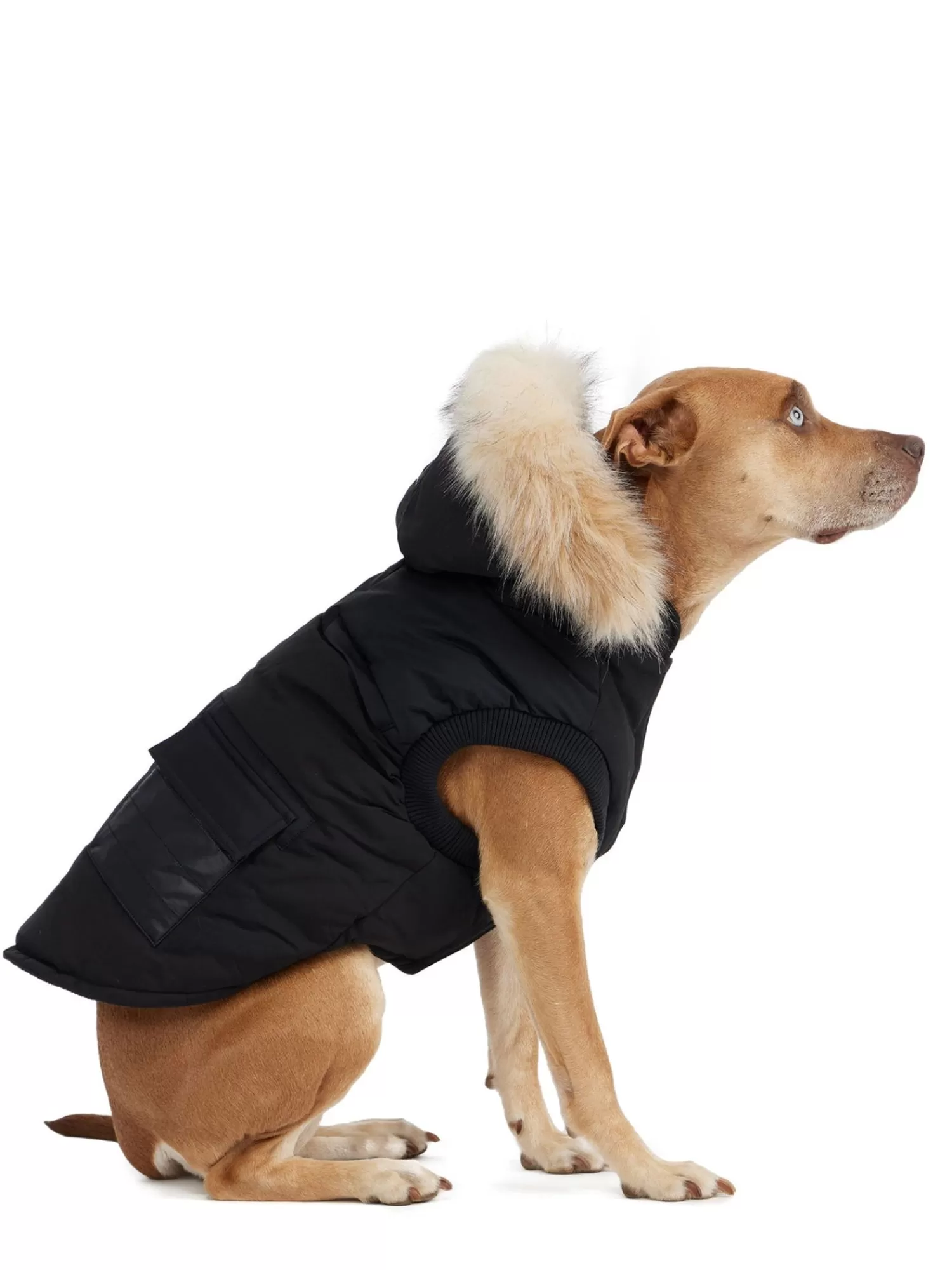 Pajar Manteaux Pour Chiens<Zeus Manteau Pour Chiens Avec Contour En Fausse Fourrure Noir